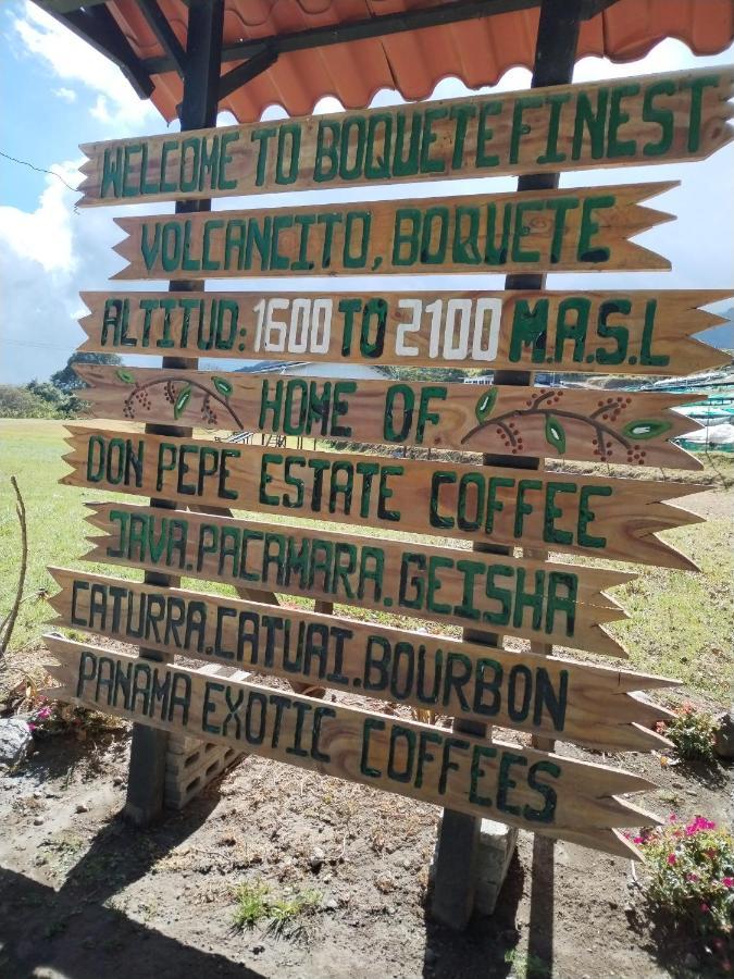 Campestre House Villa Alto Boquete Ngoại thất bức ảnh