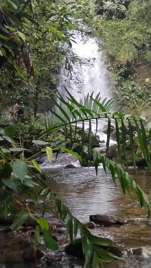 Campestre House Villa Alto Boquete Ngoại thất bức ảnh