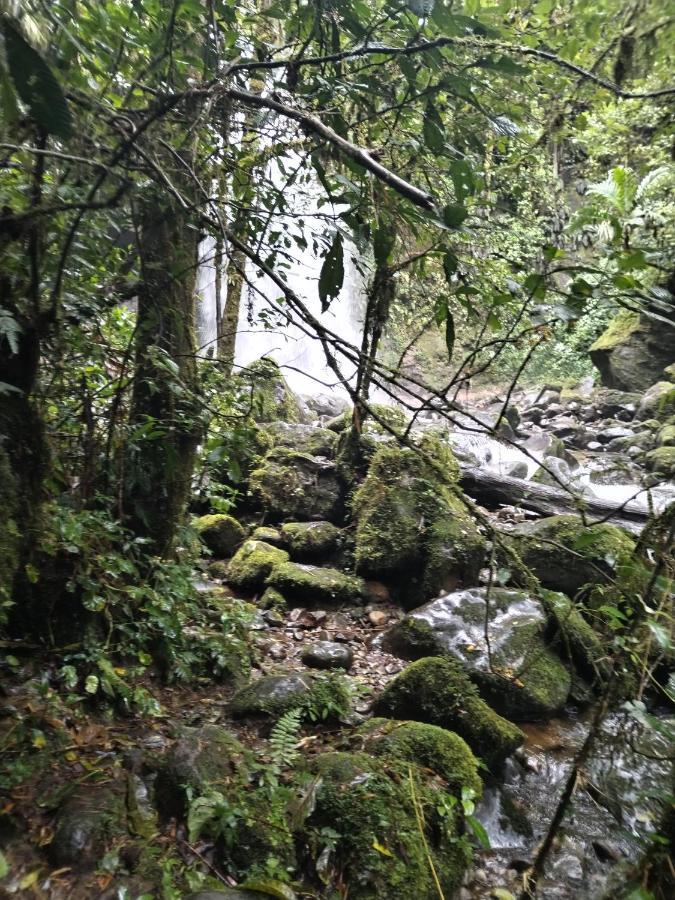 Campestre House Villa Alto Boquete Ngoại thất bức ảnh